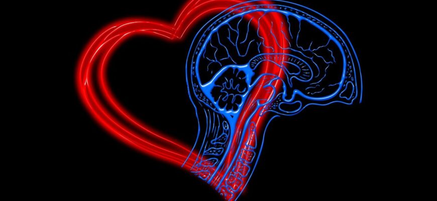 heart, mind, emotional intelligence, eq, iq, intelligence quotient, feeling, brain, intellect, decision, together, throughts, competence, social, emotionally, collaboration, plus, success, feelings, unit, psychology, emotional intelligence, emotional intelligence, emotional intelligence, emotional intelligence, emotional intelligence